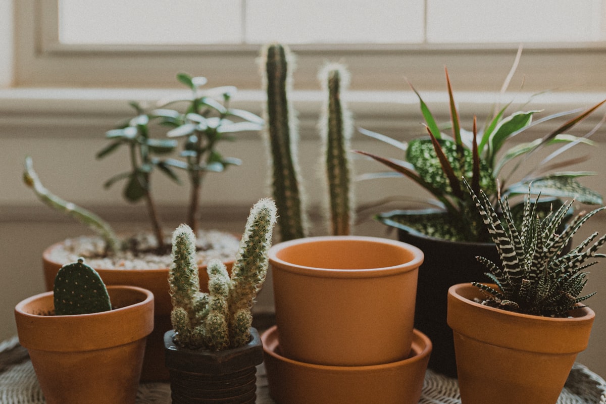 Студия виртуального производства с LED-стеной и съёмочной группой